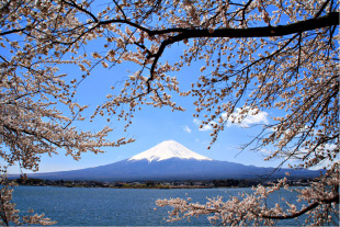 包邮高档成人1000片木质拼图1500智力玩具 唯美风景 富士山风光