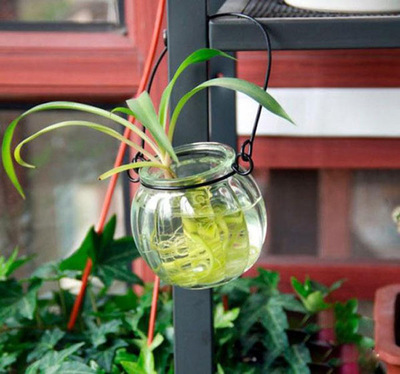 厂家直销南瓜吊瓶 水培吊篮 插花瓶 植物花盆 玻璃制品