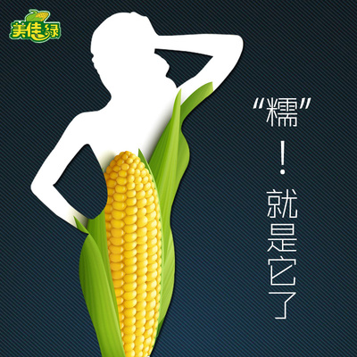 【美佳绿】黄糯玉米 东北黑土地黄粘玉米 清真食品 8穗/2300g