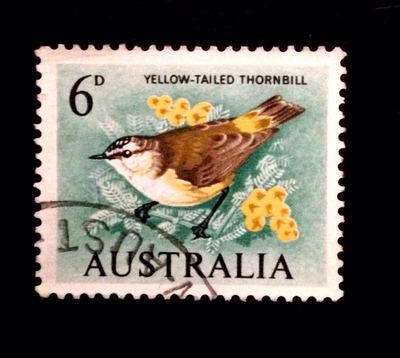 澳洲郵票1964年澳大利亚鸟类信销票黄尾刺嘴蜂鸟集邮收藏外国邮票