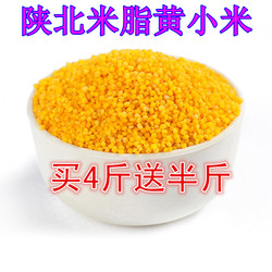 黄小米2015新米农家月子米杂粮有机小黄米包邮粮油熬粥小米250g