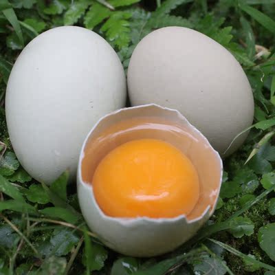 农味坊 四川绿壳土鸡蛋 有机生态鸡蛋 粮食土鸡蛋 20枚装包邮包赔