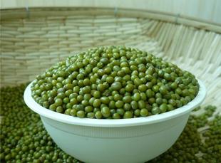 农家绿豆米新鲜绿豆农家自种绿豆自产五谷杂粮绿豆500克3斤包邮