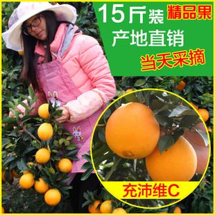 正宗赣南脐橙子 安远三百山新鲜脐橙水果 15斤包邮