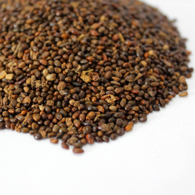 艾康沙棘种子可入药可提取沙棘籽油 野生正品 是沙棘果之精华 50g