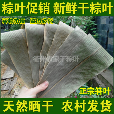 特价野生新鲜干粽叶端午节包粽子材料棕子叶天然晾晒干粽叶250g