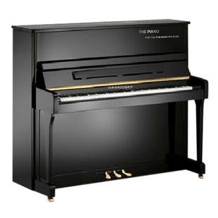 德国哈罗德钢琴/HARRODSER X-1系列121立式原装进口钢琴 黑色亮光