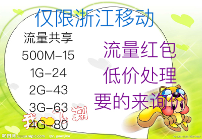 浙江移动手机共享流量包加油包流量红包500M1G2G4G杭州温州宁波
