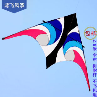 潍坊正品天眼风筝2.8米树脂杆尼龙伞布 大型微风易飞风筝特价包邮