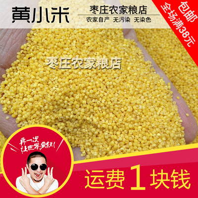 五谷杂粮小黄米孕妇月子米宝宝辅食新米谷子黄小米250g半斤
