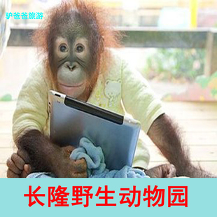 广州长隆野生动物世界门票香江动物园成人广东旅游团购官方电子票