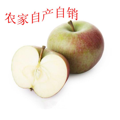 山东 沂蒙山农产品老品种小果光农家 自产新鲜水果苹果批发国光