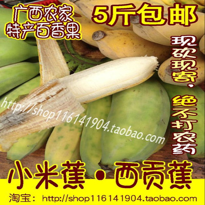 新鲜水果广西特产现砍现寄香蕉芭蕉小米蕉西贡蕉帝皇蕉粉蕉