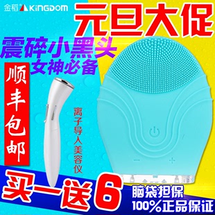 金稻电 充电洗脸仪美容仪器毛孔清洁器防水KD-303
