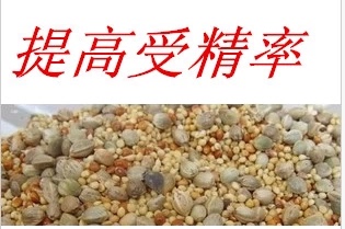 鹦鹉鸟食－鸟类仓鼠混合饲料黄谷子黍子苏子麻子稗子高粱带壳小米