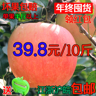 新鲜有机苹果大沙河红富士比烟台阿克苏冰糖心甜吃的水果10斤