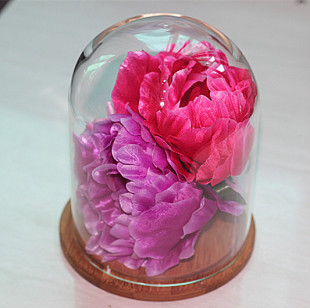 七夕情人节活动中 供应保鲜花玻璃罩 永生花玻璃罩 欧式吹制花罩