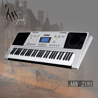 爱尔科成人专业版电子琴61键 初学者MIDI接口教学电子琴