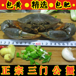 正宗三门青蟹大公蟹 一只一斤重 鲜活螃蟹公蟹肉蟹海鲜包肥包邮