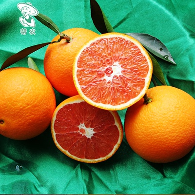 【顺丰包邮】赣南脐橙 红肉血橙 现摘新鲜水果甜橙子 5斤礼盒装