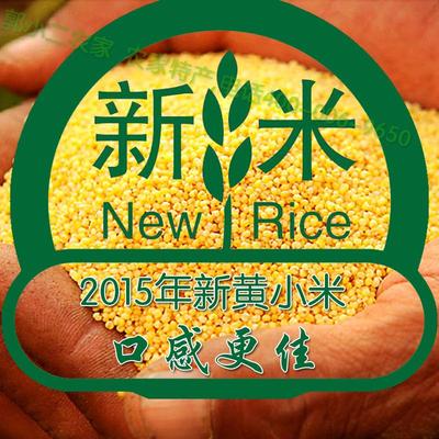 沁州黄小米15年山西土特产月子米小黄米 粮食 沁县 农家小米1500g