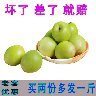 【天天特价】台湾青枣 新鲜现摘 大青枣4斤装买两份发10斤