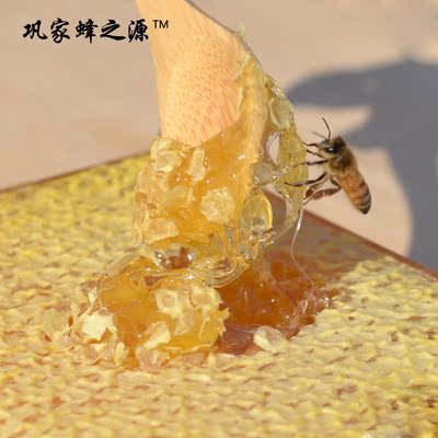 纯天然蜂巢蜜 蜂窝蜜 无污染百花土蜂蜜 嚼着吃的蜂蜜 无切割
