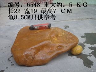 DIY鱼缸造景石 乌龟晒台石 扁平园林黄蜡石奇石 6548