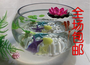 玻璃花盆 碗莲盆 水培花瓶 透明玻璃瓶 碗莲 金鱼缸 圆形玻璃瓶