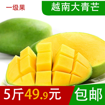 芒果 大青芒果5斤5~7个三亚新鲜金煌青皮芒热带时令特产水果