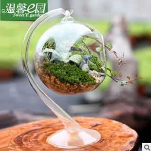苔藓微景观生态瓶多肉盆景创意绿植桌面盆栽DIY办公室迷你植物