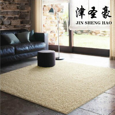 简约现代 超柔纯色加厚客厅茶几地毯 卧室满铺床边毯地毯可定做