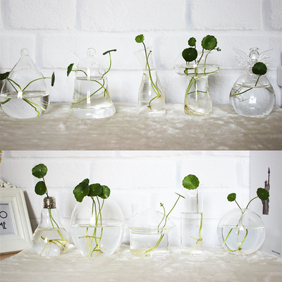 创意家居水培玻璃插花瓶 透明花器桌面装饰品 室内园艺办公桌摆件