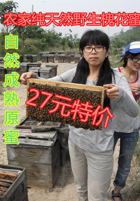 2015年新槐花蜜农家自产纯天然蜂蜜春季深山野生洋槐蜜 280试吃
