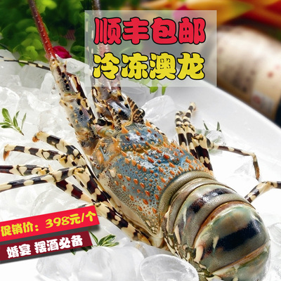 宅品滋味 进口水产海鲜青龙虾1.8-2斤 活冻花龙虾 冷冻澳洲大龙虾