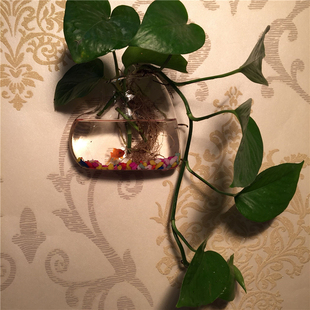 家居饰品 爱心壁挂玻璃水培花瓶 多用途透明玻璃水培花瓶 小鱼缸