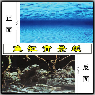 观赏鱼水族鱼缸蓝色背景纸正反双面背景纸黑色沉木蓝色海水背景纸