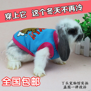 包邮 宠物兔公主兔小兔子垂耳兔穿的衣服秋冬款夏款毛衣可选用品