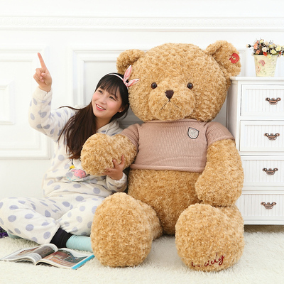 泰迪熊公仔布娃娃可爱超大号毛绒玩具复古熊抱抱熊生日礼物送女生