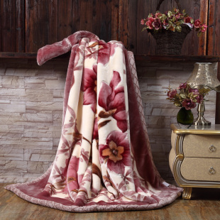 2016新品毛毯春秋毯子双层加厚拉舍尔毛毯冬用双人盖毯婚庆红绒毯