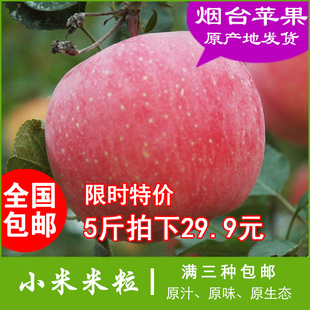 烟台苹果4斤送1斤 山东特产栖霞苹果 将军早期红富士80mm爽脆香甜