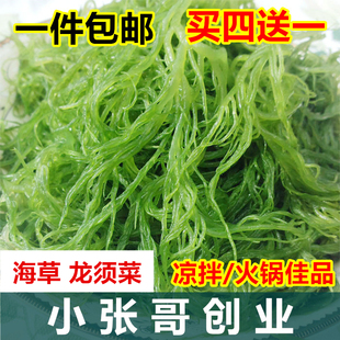 【天天特价】海草龙须菜500g 发菜海菜绿藻石花菜食用海藻凉拌菜
