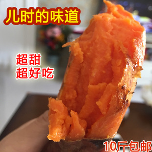 超甜红薯 沙地 新鲜番薯 漳浦六鳌红蜜薯 红心地瓜 10斤装 包邮