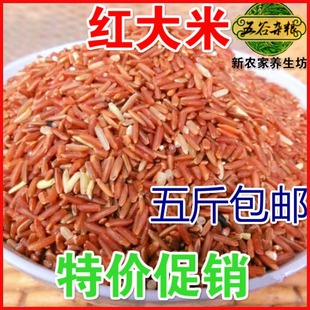 红稻米 红大米 红糙米 稀有杂粮 红米女性滋补佳品250g五斤包邮