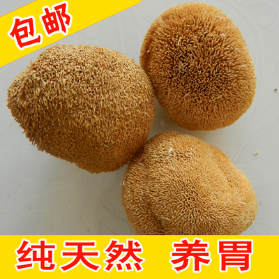 纯天然新款单品 猴头菇蘑菇  无硫熏 古田干货土特产200g包邮
