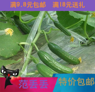 10元免邮 节节瓜种子 爬藤水果黄瓜 阳台种菜瓜果蔬菜籽蔬果种子