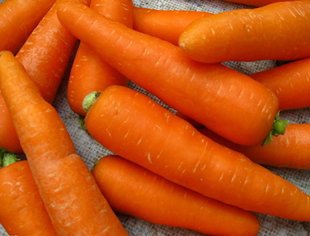 农家自种胡萝卜有机胡萝卜新鲜非转基因小胡萝卜新鲜蔬菜