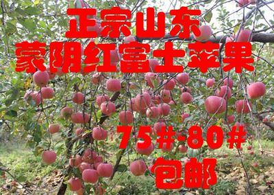 苹果红富士苹果山东蒙阴特产5斤包邮75#-80#
