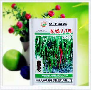 杨凌高科辣椒种子 高科长线10号线椒种子长线辣椒种子子 农科院
