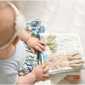 英国Peter Rabbit彼得兔 刺绣  婴儿玩具 立体带响纸柔软加厚布书